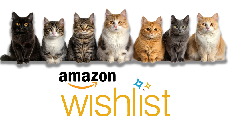 abaykitties amazon