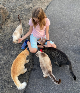 Home kid and kitties